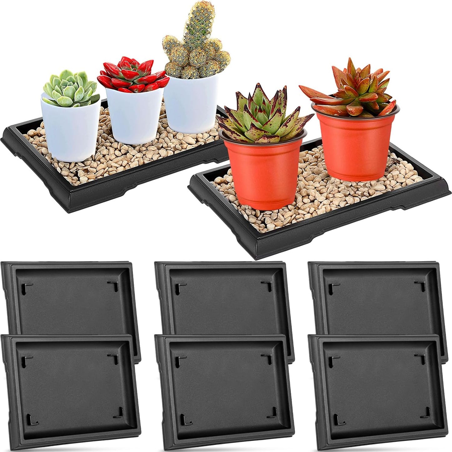 Pinkunn 6 Pcs Bonsai Humidity Tray Drip Tray Plastic Plant Water Catcher Plant Saucers for Indoors and Outdoors Cactus,Succulents,Bonsai Tree,Stone Not Included (7.8 x 5.5 Inch)