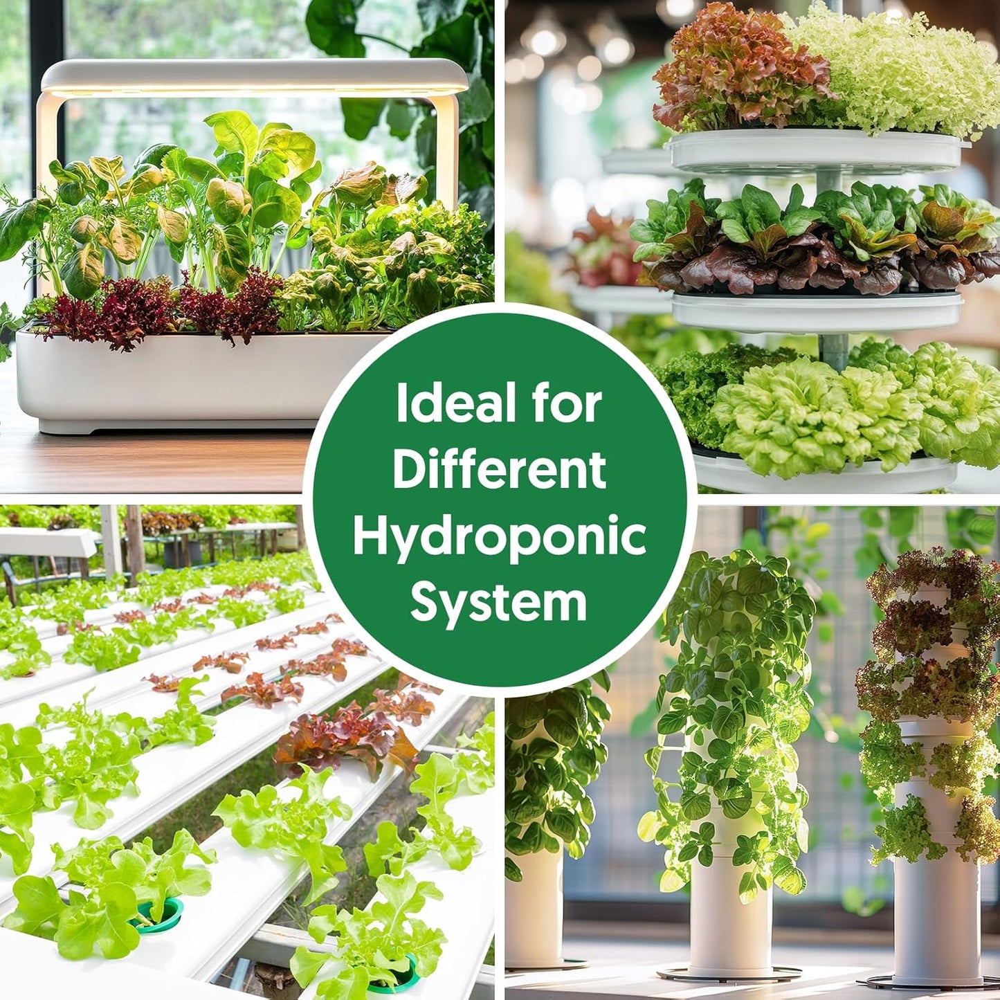 18 Varieties Herb & Vegetable Seeds for Hydroponic, 13000+ Seeds for Indoor Outdoor Garden Planting Home Veggie Herb, Heirloom Non-GMO Culinary Collection Gift Pack