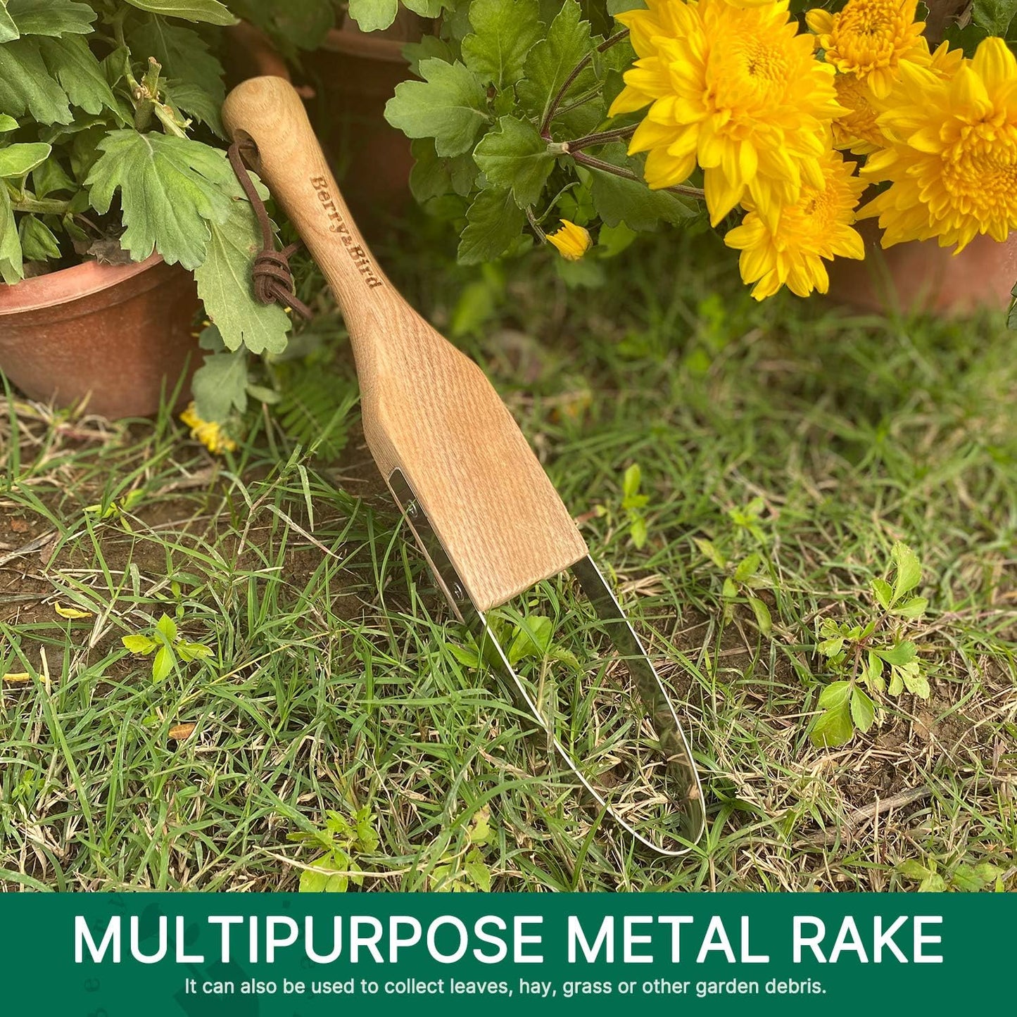 Berry&Bird Loop Weeder, 12.6-Inch Gardening Weed Cutter/Remover, Garden Weeding Scraper Tool with Wood Handle for Gardening, Lawn, Yard Work