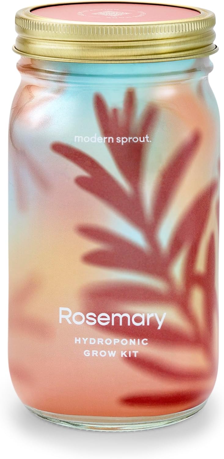 Modern Sprout Mason Garden Jar - Self-Watering Hydroponics Growing System Kit with Organic Herb Seeds - Jar Planter for Indoor Herb Garden - Seed Starter Kit - Home Decor & Gifting - Rosemary