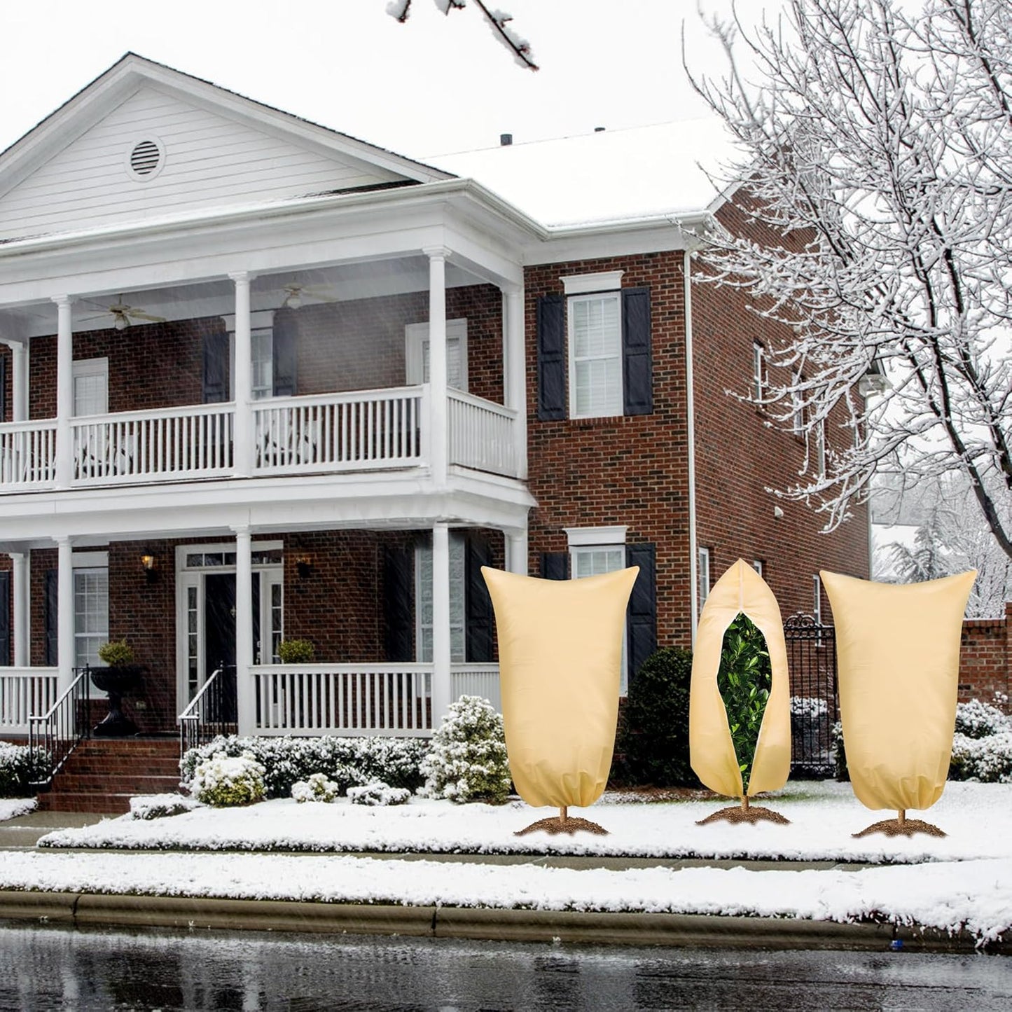 SCRUBIT Plant Covers Freeze Protection, 78" W x 94" H Frost Cloths for Outdoor Plants Fruit Trees & Shrubs with Zipper and Drawstring, Thick Winter Plant Covers - Tree Frost Blankets