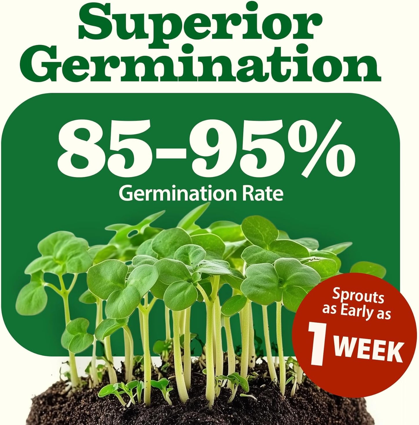 HOME GROWN 70 Variety Vegetable & Herb Seeds – 32,000+ USA Non-GMO Heirloom Survival Seeds –Garden Kit for Spring, Fall, Winter – Indoor & Outdoor Planting – Starter Set for Home Gardeners & Preppers