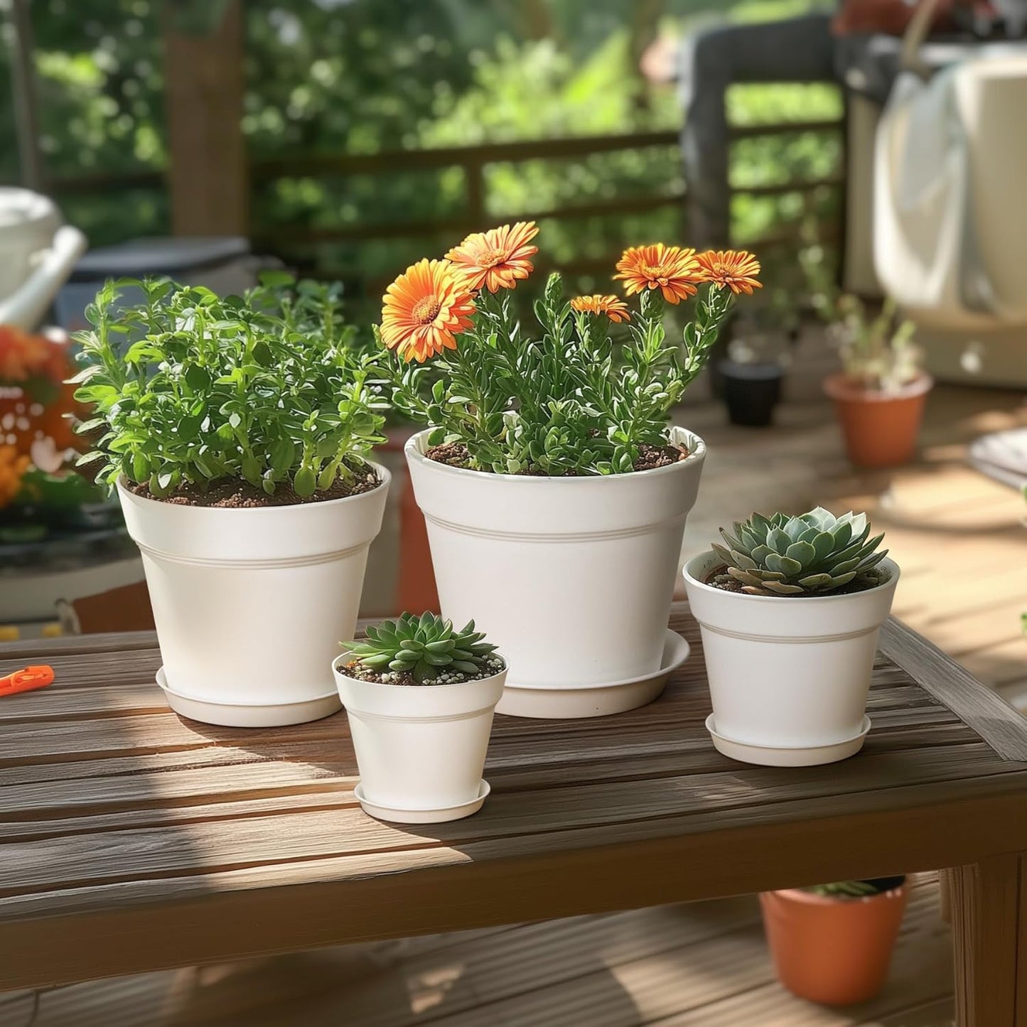 T4U 7.5 Inch Plant Pots 6 Pcs, Flower Pots for Plants, Plastic Planter Pots for Indoor Plants with Drainage Holes and Saucer (6 Pcs, 7.5", White)