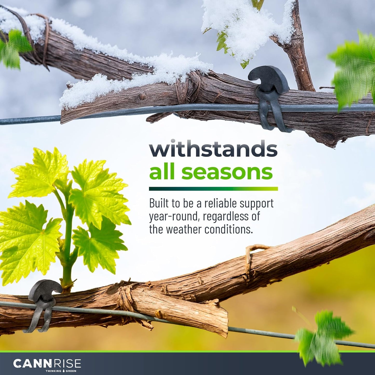 Anchor Rubber Bands for Trellising – 70 Pack of 8 cm/3.14 inches Rubber Bands for Outdoor Plant Support, Climbing Plants, Grape Vines, Trees – UV-Protected, Elastic, Multi-Purpose Use