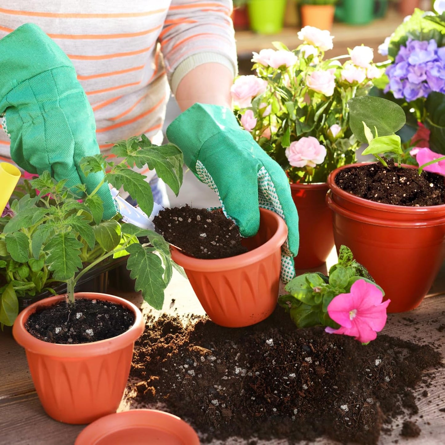 Horticultural Perlite for Plants 1qt, All Natural Horticultural Soil Additive Conditioner Mix, Improve Ventilation and Drainage, Enhance Soil Health and Root Growth