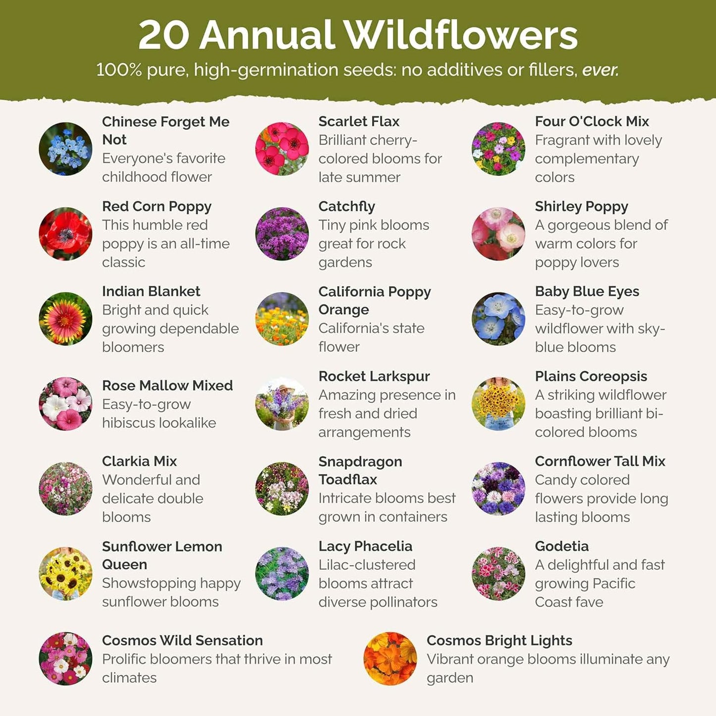 Eden Brothers All Annual Wildflower Mixed Seeds for Planting, 1/4 lb, 120,000+ Seeds with Sunflower, Indian Blanket, Scarlet Flax | Attracts Pollinators, Plant in Spring, Zones 3, 4, 5, 6, 7, 8, 9, 10