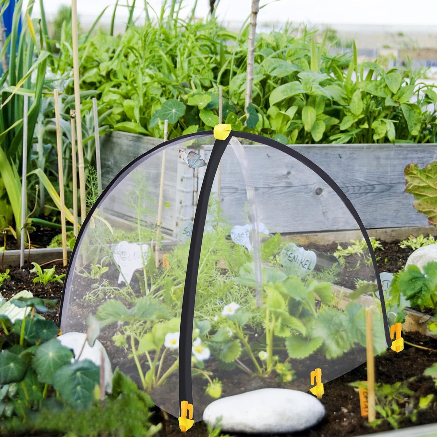 2 PCS Insect Barrier Plant Tent Cover-22 x 22 x 23 Inch Bug Guard Cover with Stakes-Insect Bird Barrier Netting Mesh for Protect Vegetable Plants Fruits Flowers from Birds Animal Eating