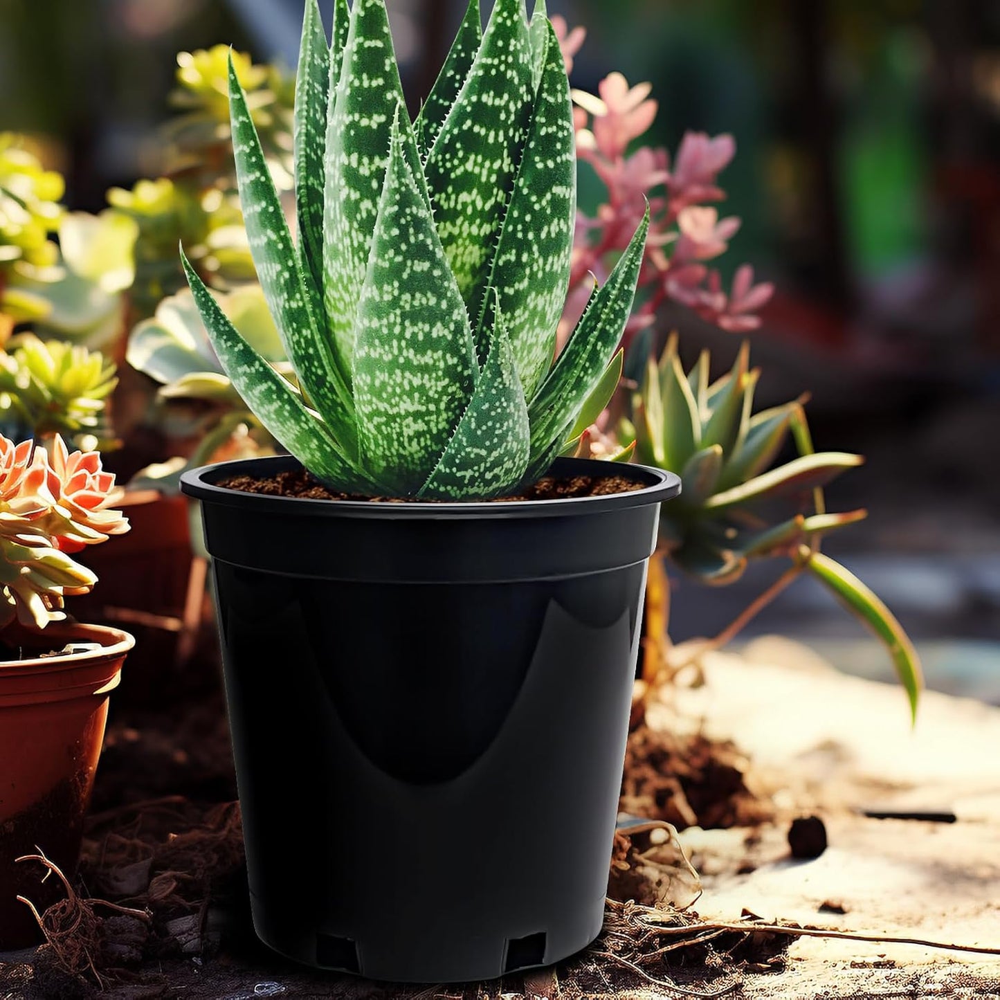 1.5 Gallon Plastic Nursery Pots, 7.5 Inch Round Plant Pots with Drainage Holes, 15 Pack Flower Pots for Outdoor Indoor Plants, Flowers, Gardening Gifts for Women, Black