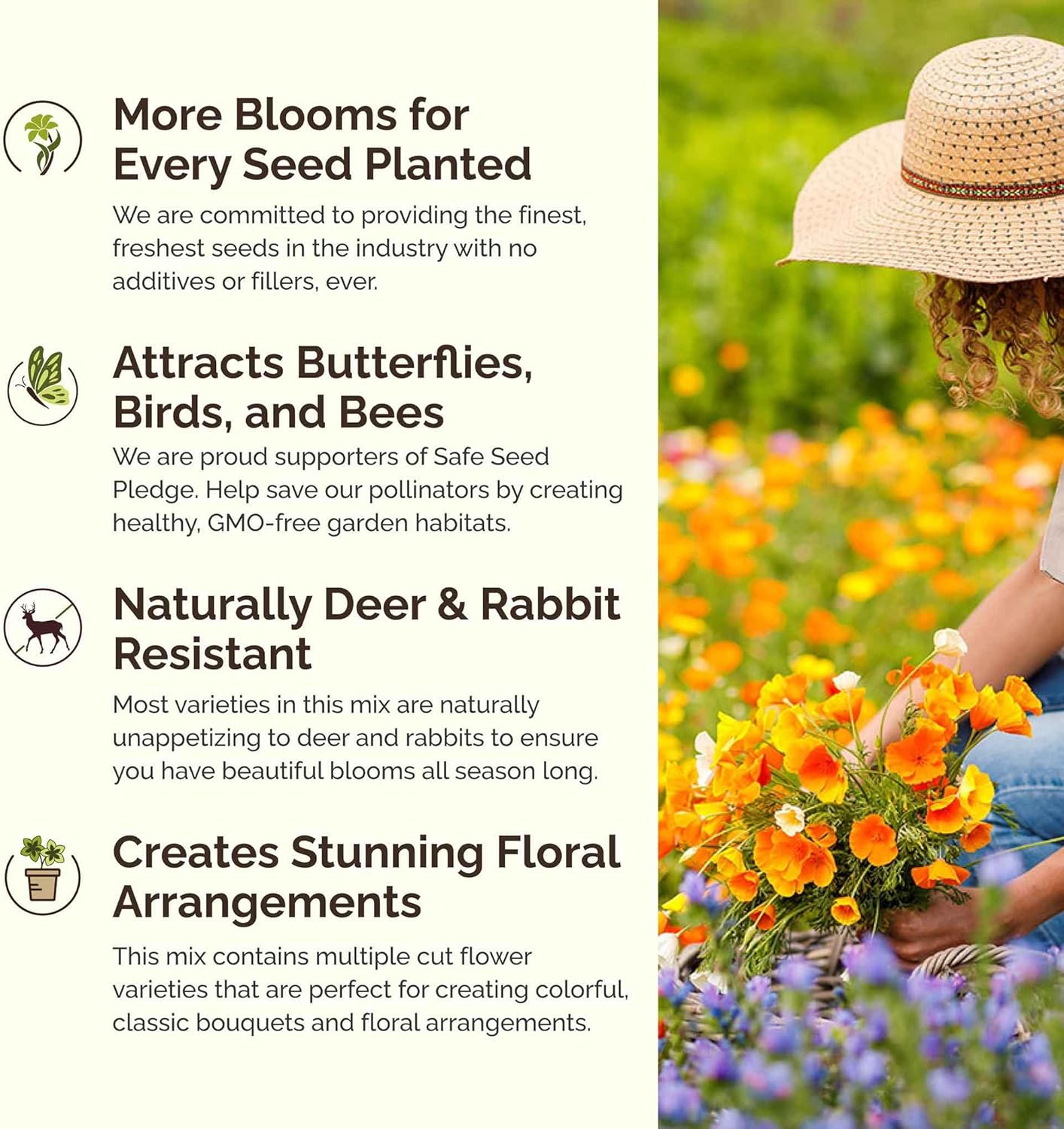 Eden Brothers Poppy Power Flower Mixed Seeds for Planting, 1 lb, 480,000+ Seeds with Red Corn, Iceland, California Poppy | Attracts Pollinators, Plant in Spring or Fall, Zones 3, 4, 5, 6, 7, 8, 9, 10