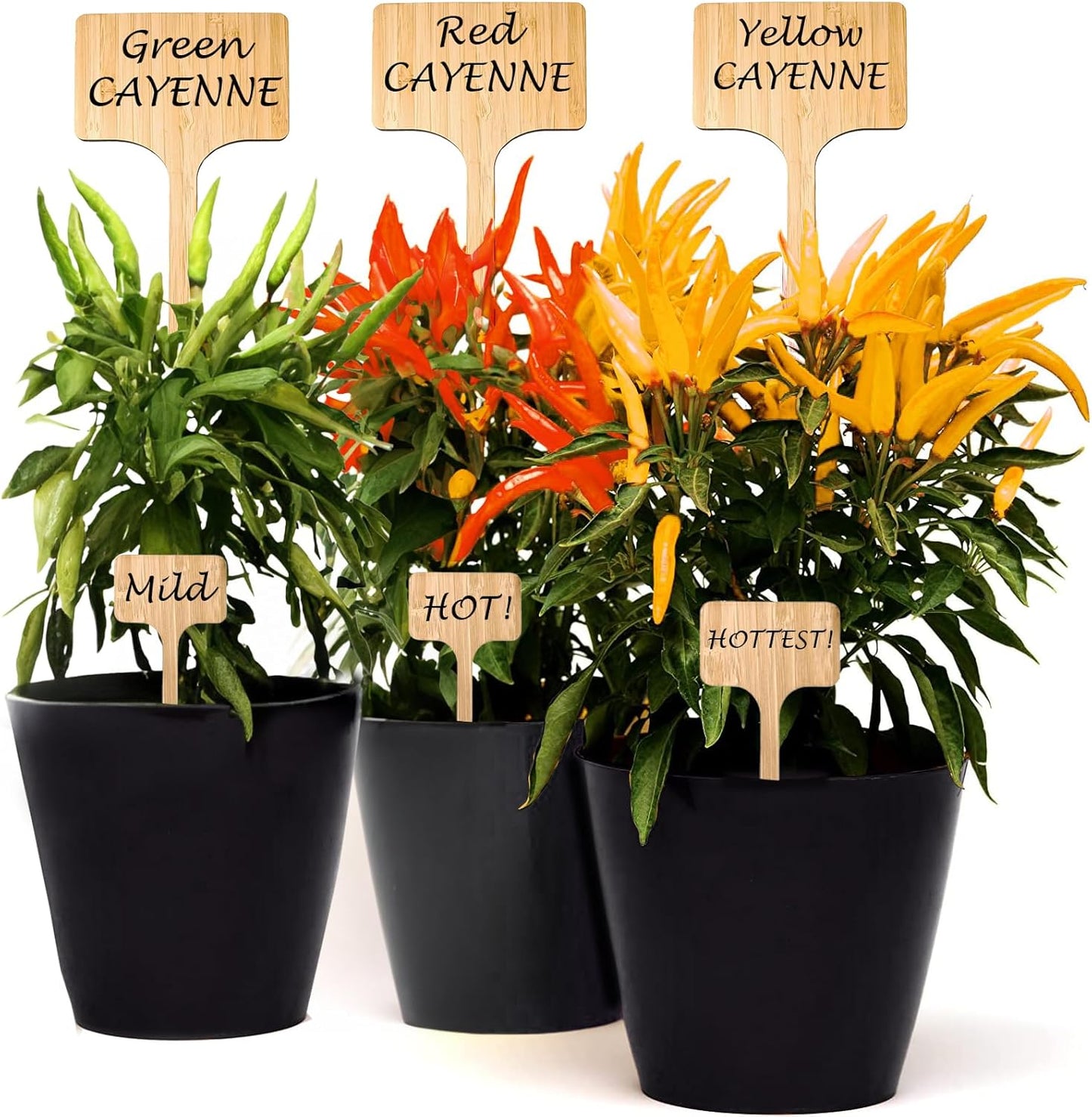 100 Pack 4.5 Inch Tall Plant Labels Garden Markers Plant Name Tags for Flowers, Herbs, Vegatables, Seeds, Bulbs Easy to See Writing Area with Full Size Marker