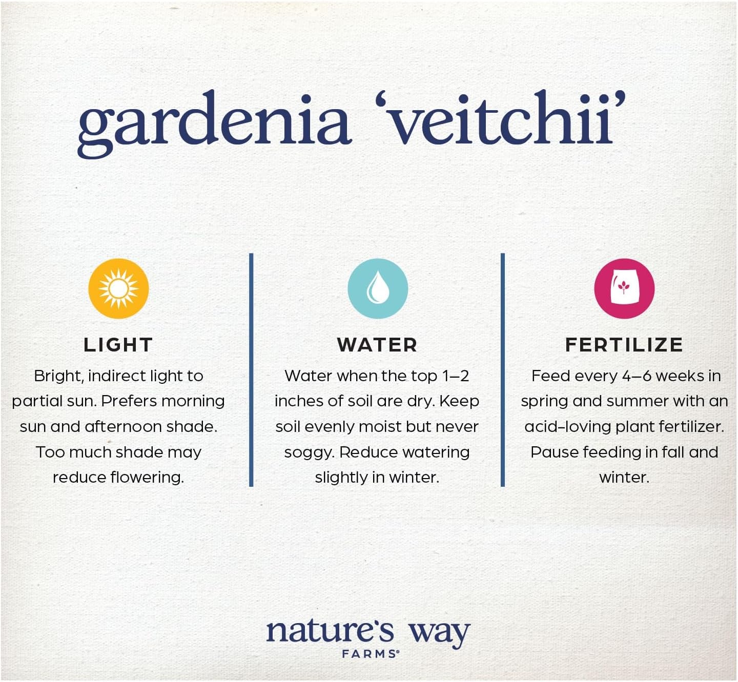 Nature’s Way Farms Gardenia Veitchii Fragrant Flowering Shrub (12-18in Tall) in Grower Pot