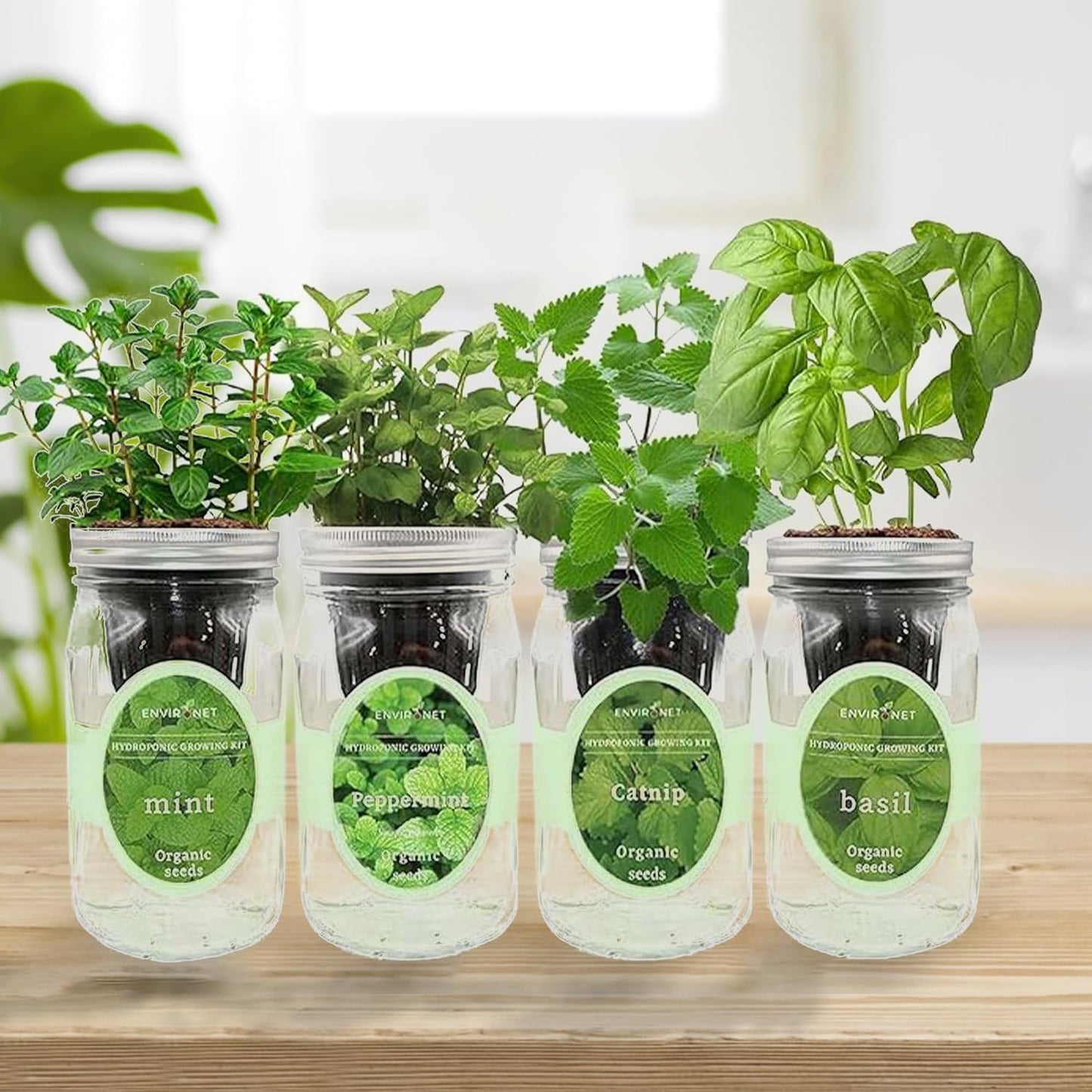 Hydroponic Herb Growing Kit Set, Self-Watering Mason Jar Herb Garden Starter Kit Indoor, Grow 4 Kinds of Herbs from Seeds (Catnip,Peppermint,Mint&Basil)