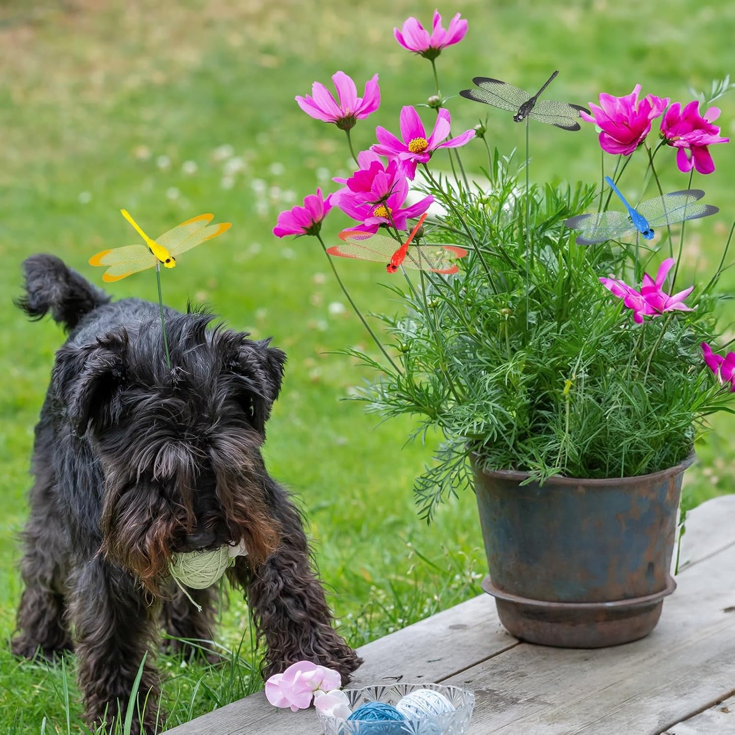 NiHome 15PCS Decorative Dragonflies with 10 Clips Decor for Garden, 9.8" Long Multicolor Waterproof Outdoor & Indoor Use, Versatile Clip-On Plant Decoration, Includes Pliers for Easy Attachment