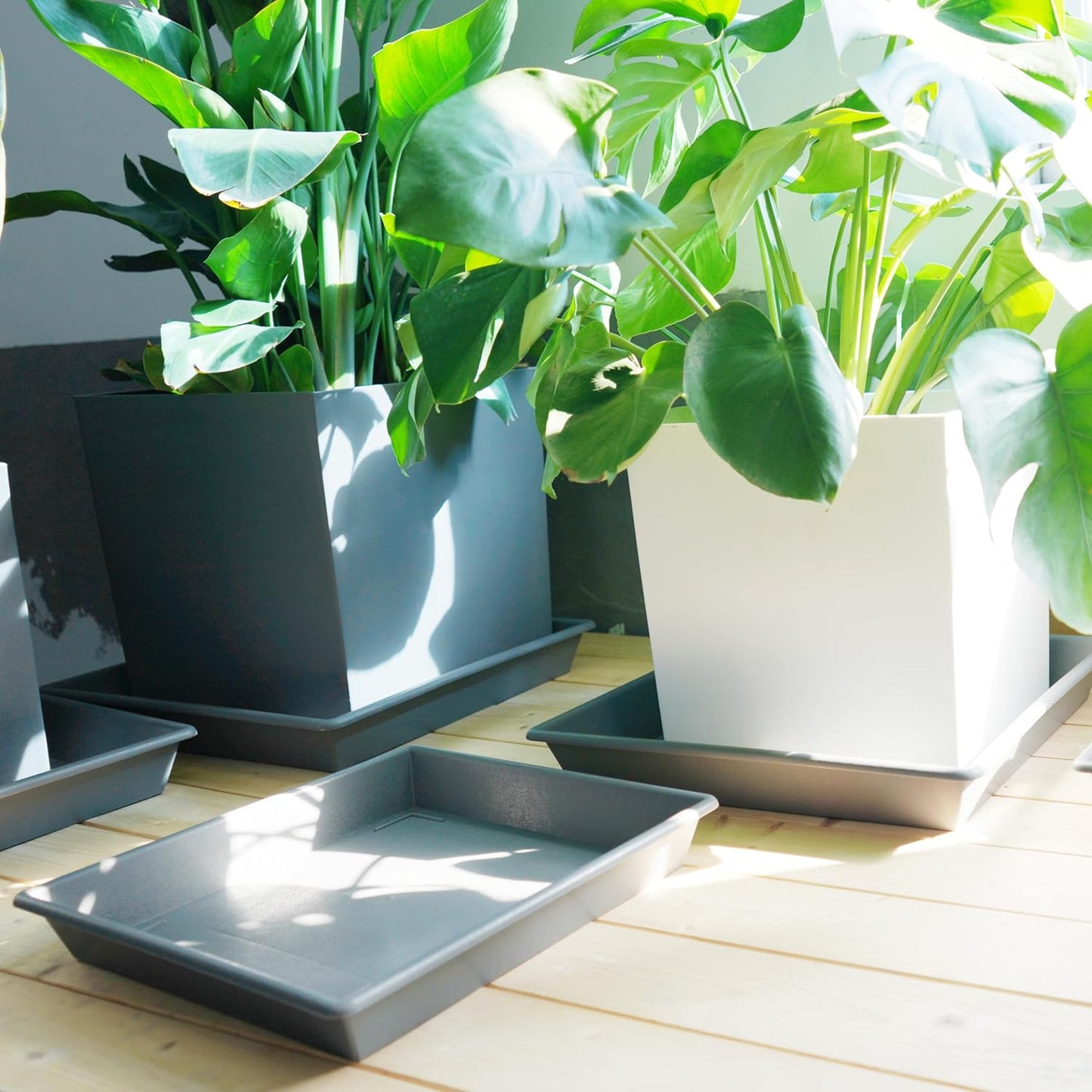 Square Plant Saucer 6 Inch 5 Pack6 8 12 14 16 18 20 Plastic Plant Saucers for Indoors Outdoors, Flower Pot No Holes Plant Drip Trays, Plant Trays for Pots Heavy Duty