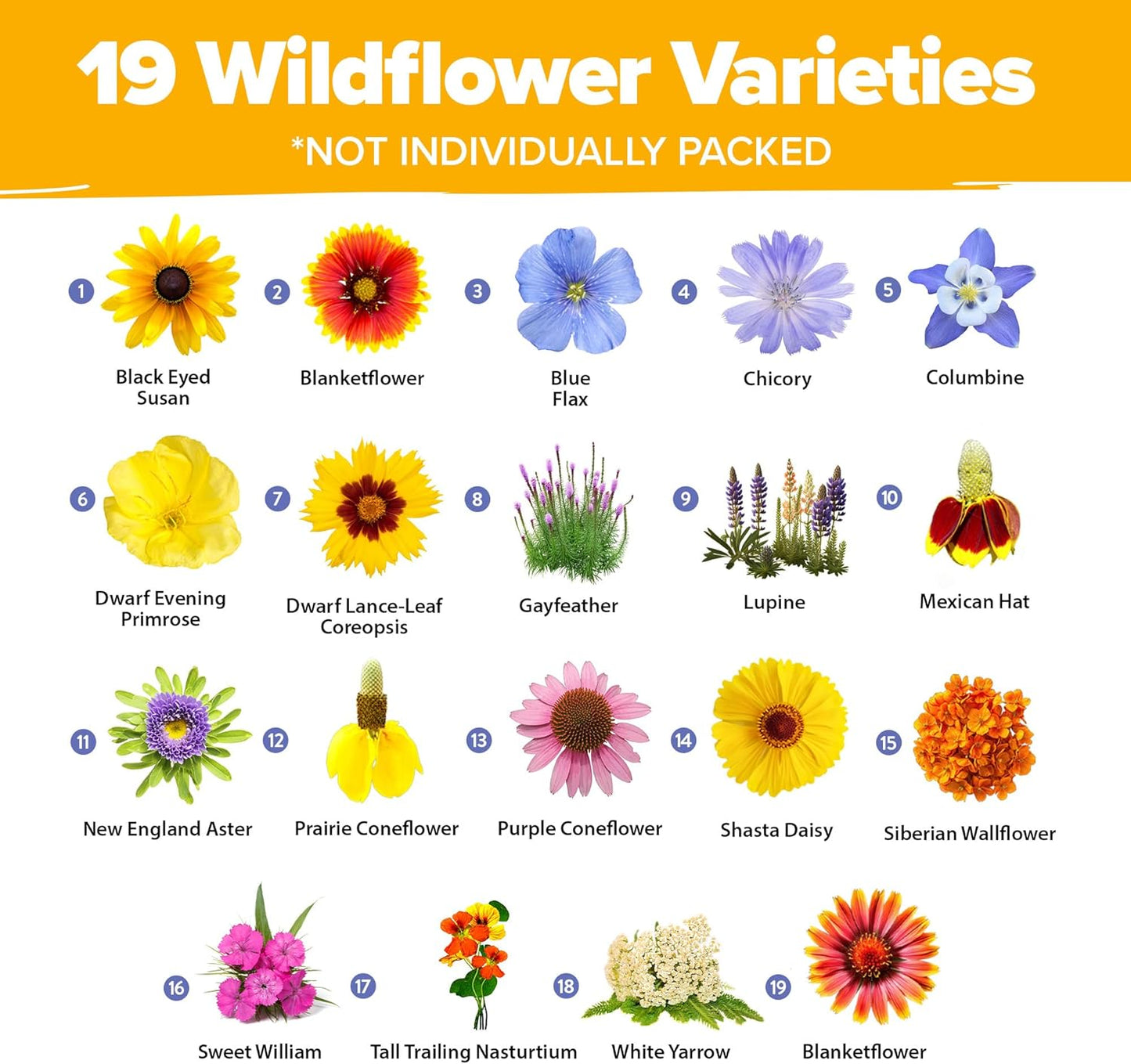 HOME GROWN Wildflower Seeds Mix - 47,400+ Non-GMO USA-SOURCED Seeds - 19 Perennial Flower Varieties for Planting Outdoors - Attract Butterflies & Birds - 3oz Wild Flower Seed Mix