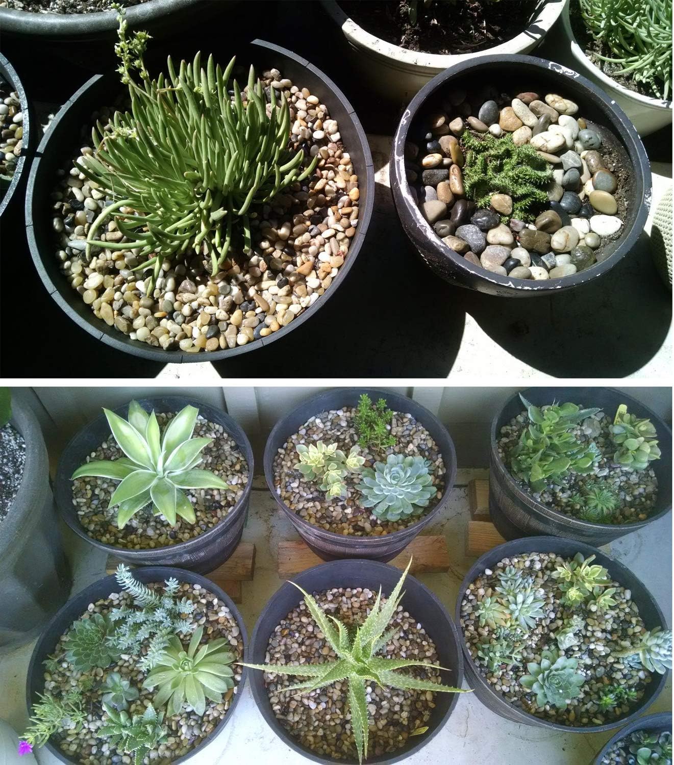 Voulosimi River Rock Stones, Natural Decorative Polished Mixed Pebbles Gravel,Outdoor Decorative Stones for Plant Aquariums, Landscaping, Vase Fillers (9 LB, Mixed Colors)