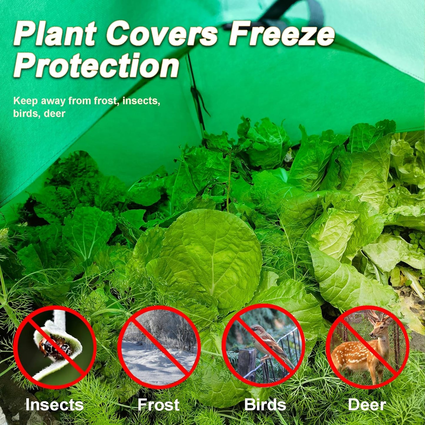 36″*36″*38″ Winter Plant Warm Covers - Raised Bed Cover, Garden Row Accelerator, Warm Tent Freeze Protection Humidity Domes for Germination, Seedling Propagation Protecting Plants from Animals 2 PCS