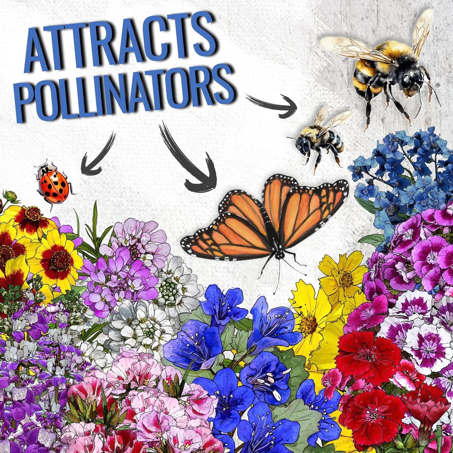 Seed Needs Low Growing Wildflower Flower Seeds for Planting | 2 Packs (1 Ounce Each) Mixture/Blend 17 Varieties | Resealable Package Multicolored Blooms Open Pollinated Mixed Species | Bulk