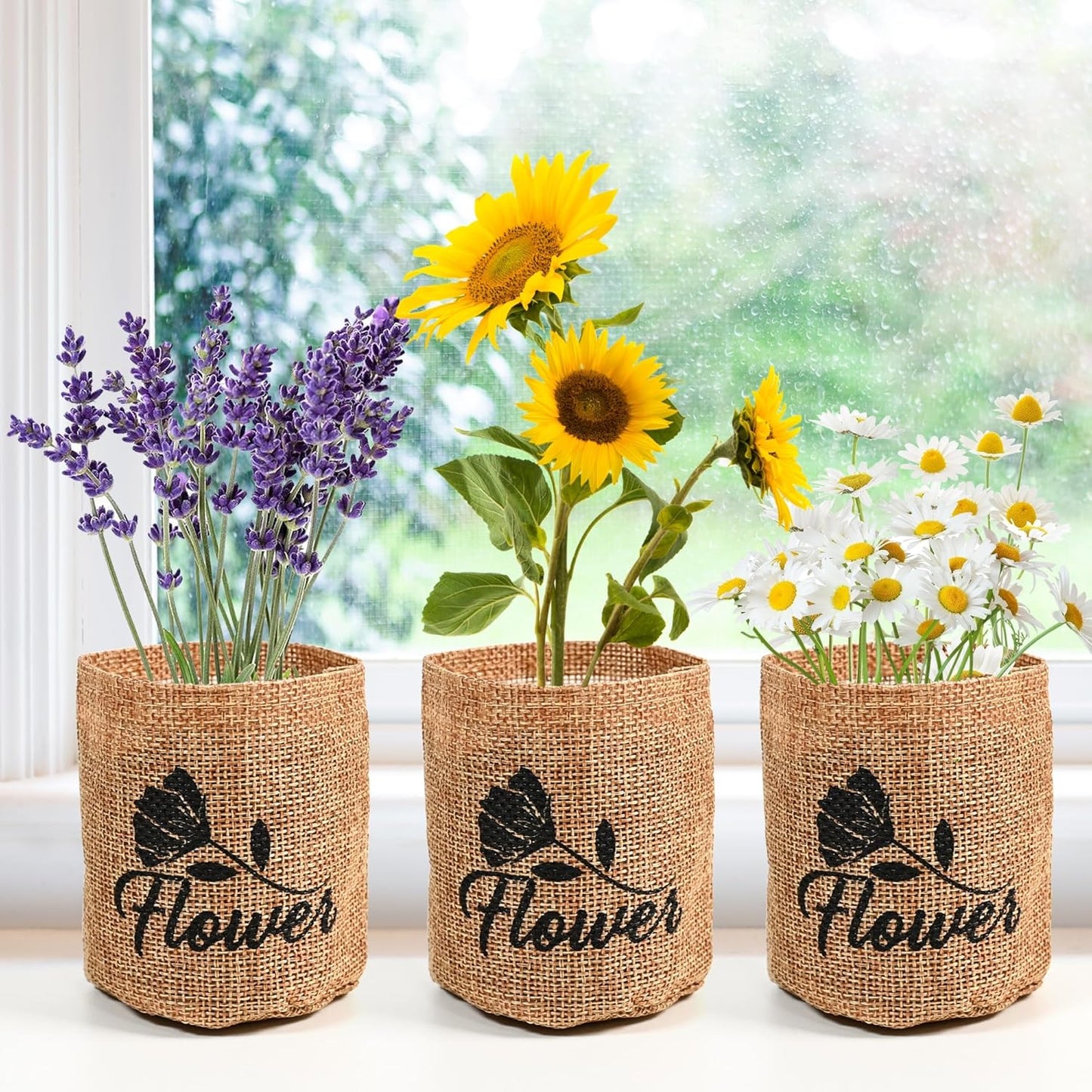 5 Kit - Growing into Shasta Daisy, Cornflower, Sunflower, Zinnia, Lavender for Indoor Outdoor Garden DIY Gifts