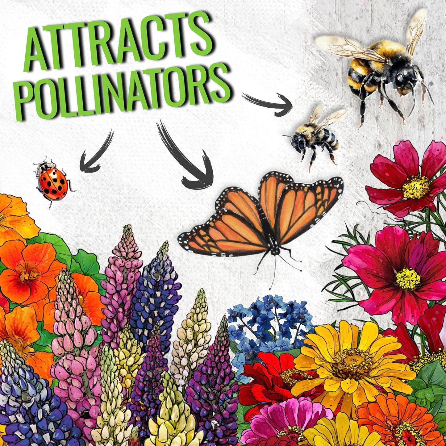 Seed Needs Wildflower Seeds Hummingbird and Butterfly Seed Mix | 5 Packs (1 Ounce Each) No Filler 23 Varieties Garden Seeds Annual & Perennial Species | Pollinator Attracting Flower Seed | Bulk