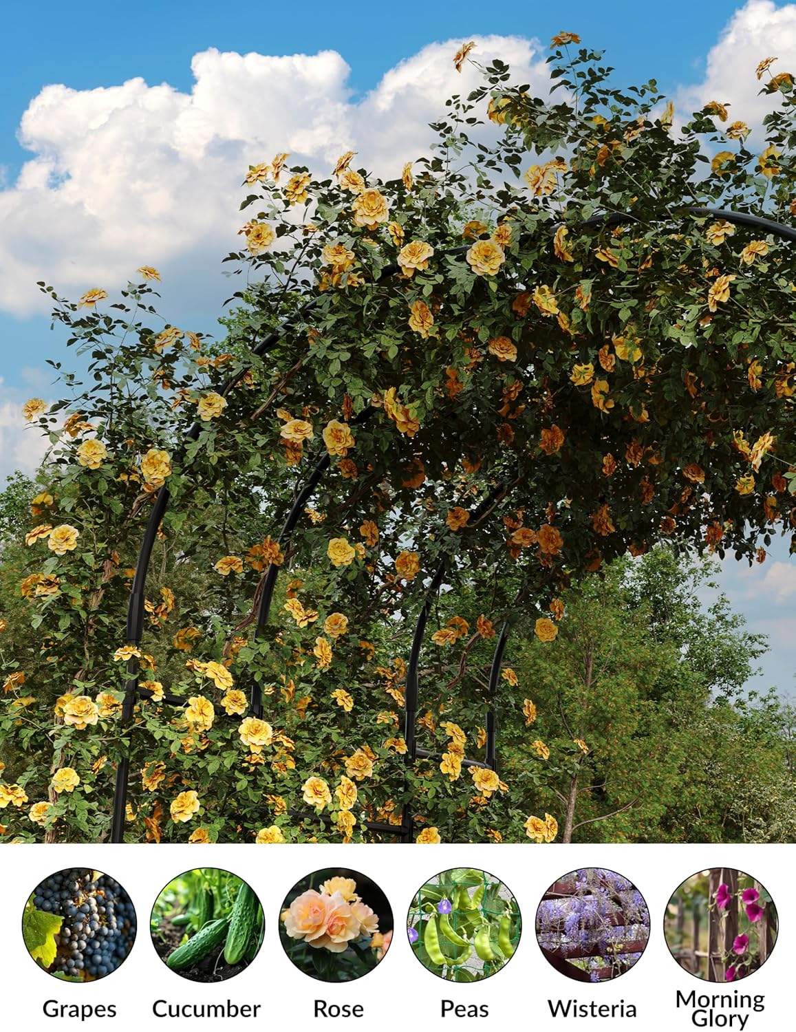 Garden Arch Trellis，Garden Arch Trellis for Climbing Plants - 59" L x 86.6" H Metal Outdoor Arbor with Rust-Resistant Coating - Perfect for Weddings, Patio, Lawn Decor & Vine Support