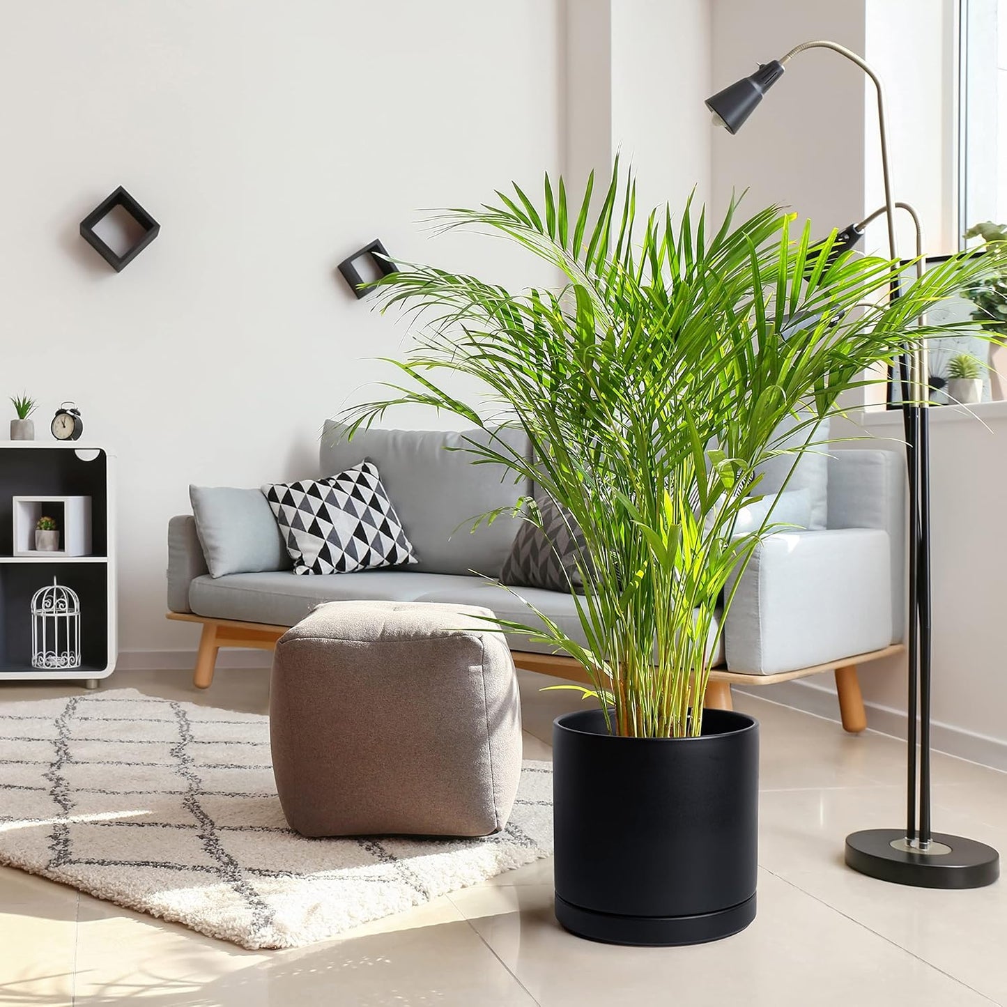 D'vine Dev 12 Inch Ceramic Planter Pot with Drainage Hole and Saucer, Indoor Cylinder Round Planter Pot, Black, 94-O-F-2