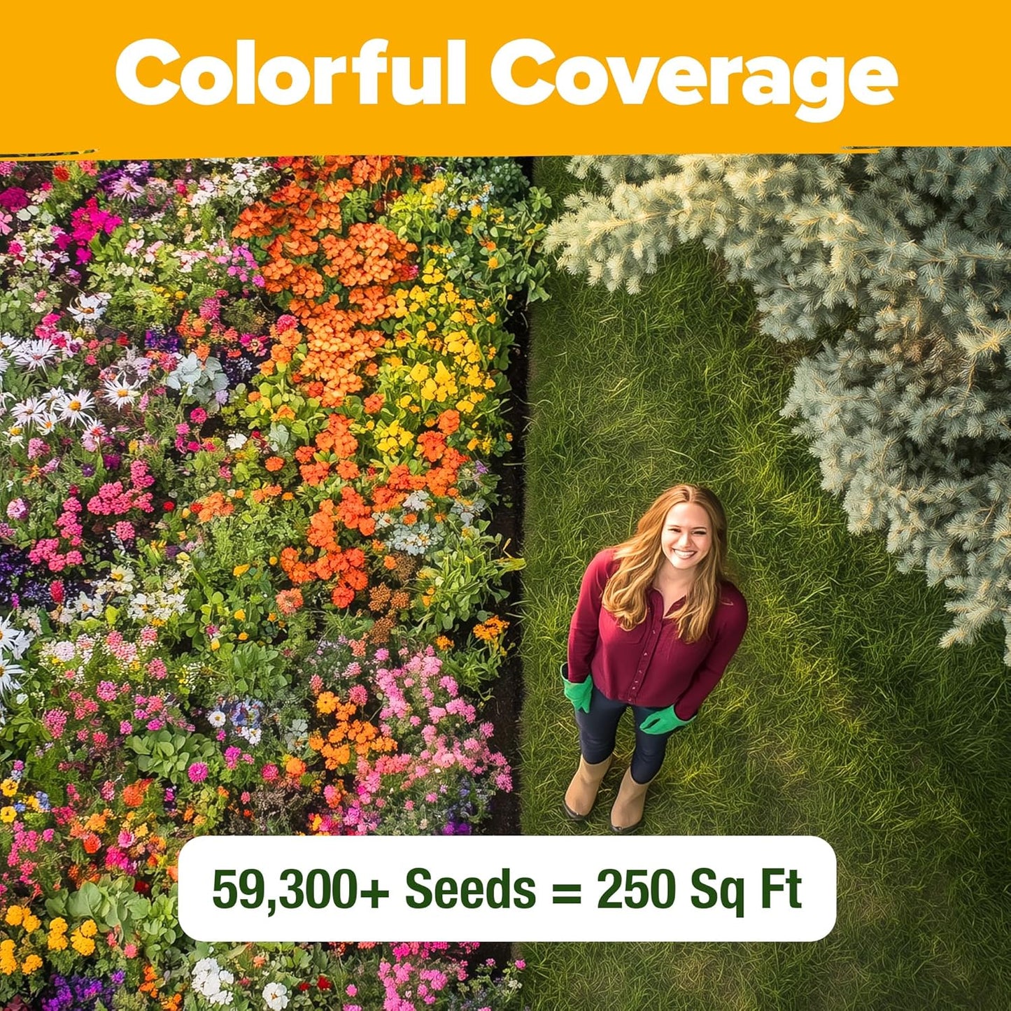 HOME GROWN Premium Wildflower Seeds Bulk Mix (2oz) - 59,300+ Seeds with 19 Varieties for Pollinators - Wild Flower Seed for Bees, Butterflies - Perennial & Annual Throw and Grow Seed Mix