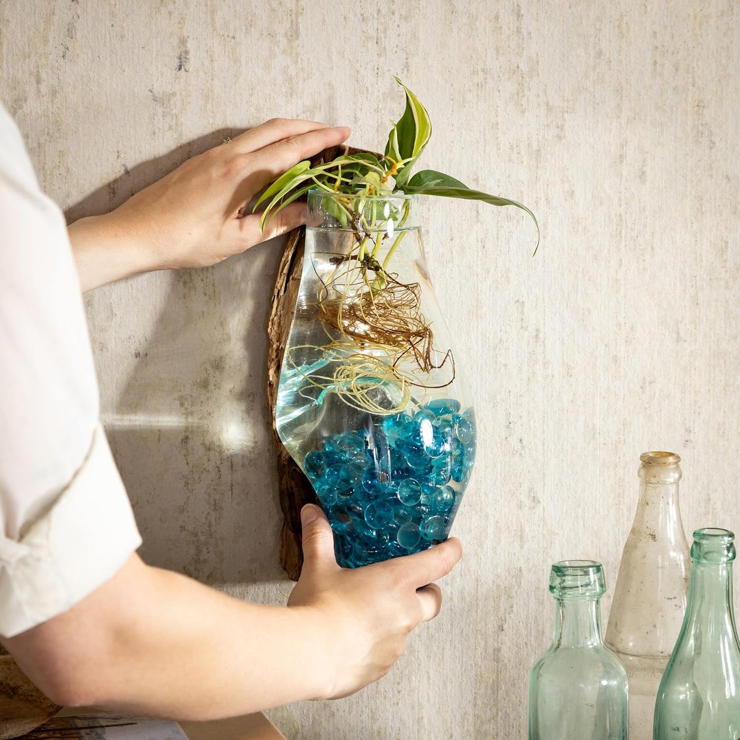 Cape Craftsmen Wall Mounted Molten Glass Hanging Terrarium on Driftwood, Indoor Wall Planter Vase on Wood, Propagation Station for Hydroponics Plants, Succulent Pot