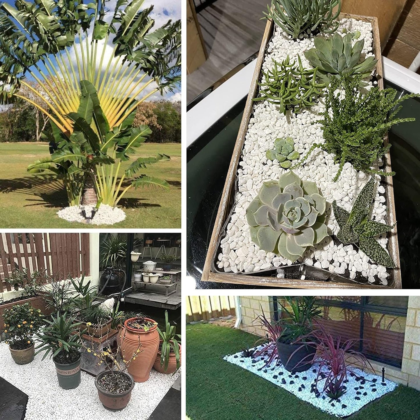 Anothera 18-lb Bulk Bag White Pebbles 1/2" Size Aquarium Gravel Outdoor Garden Paving Plant Decorative Stones…