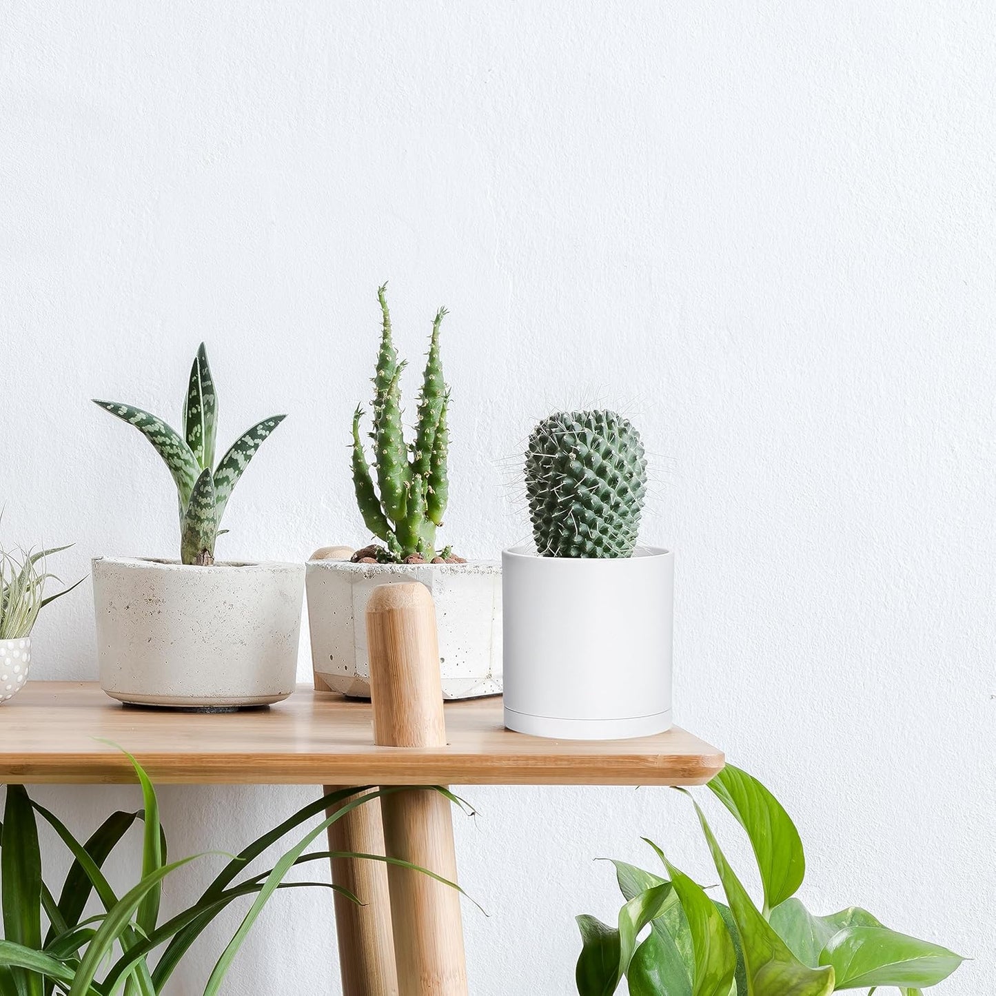 D'vine Dev 2 Pack 4 Inch Modern Plastic Plant Pots, Small Garden Planters for Plant with Drainage Holes and Saucers, White Color, 74-Z-E-1