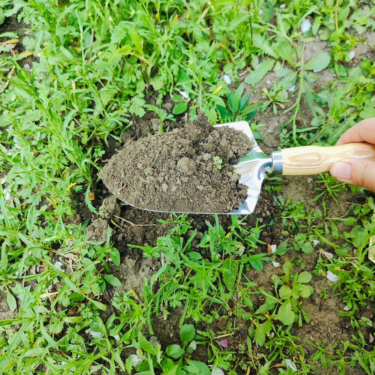 Gardening Tool, Weeder Tool Set Lightweight Easy to Use for Gardon & Patio (5pcs Garden Tool 01)