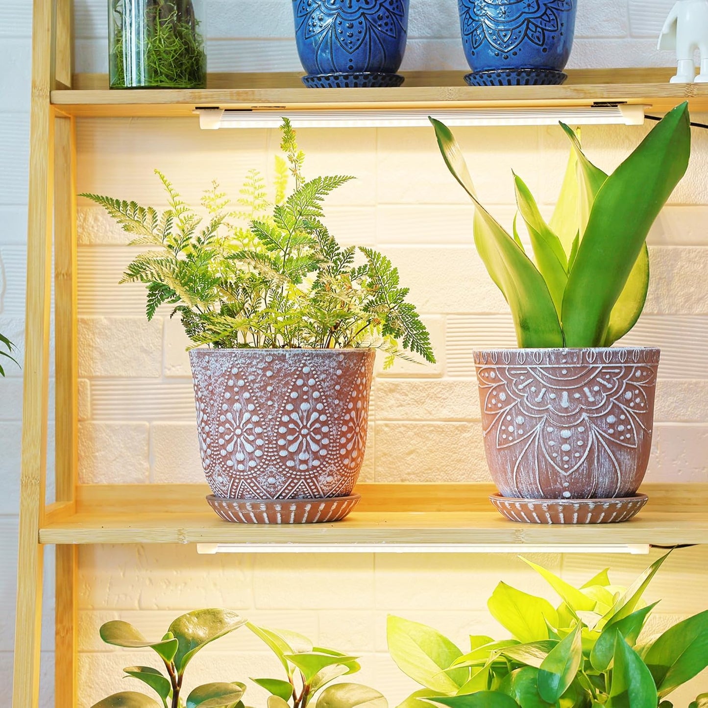 Gepege 6 Inch Beaded Ceramic Planter Set of 2 with Drainage Hole and Saucer for Plants, Indoor-Outdoor Large Round Succulent Orchid Flower Pot