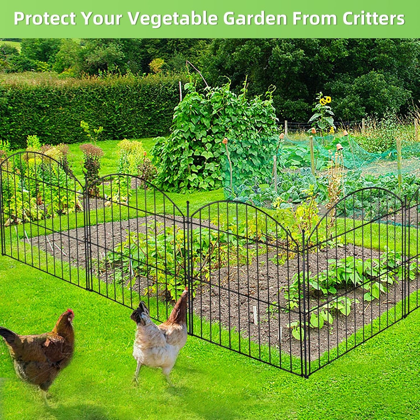 Decorative Garden Fence 24in (H) x10ft (L), 5 Pack No Dig Fence Animal Barrier for Dog with Lock, Arched Flower Bed Edging, Wire Border Panel Fencing for Yard Patio Outdoor Decor