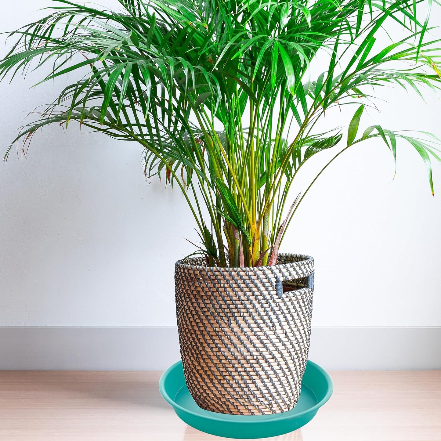 6 Pack of 12 inch Plant Saucer, Heavy Duty Plastic Plant Saucer 12" Round, Durable Plant Tray for Pots, Plant Saucers for Indoors, Plant Trays for Planter (12", Teal)