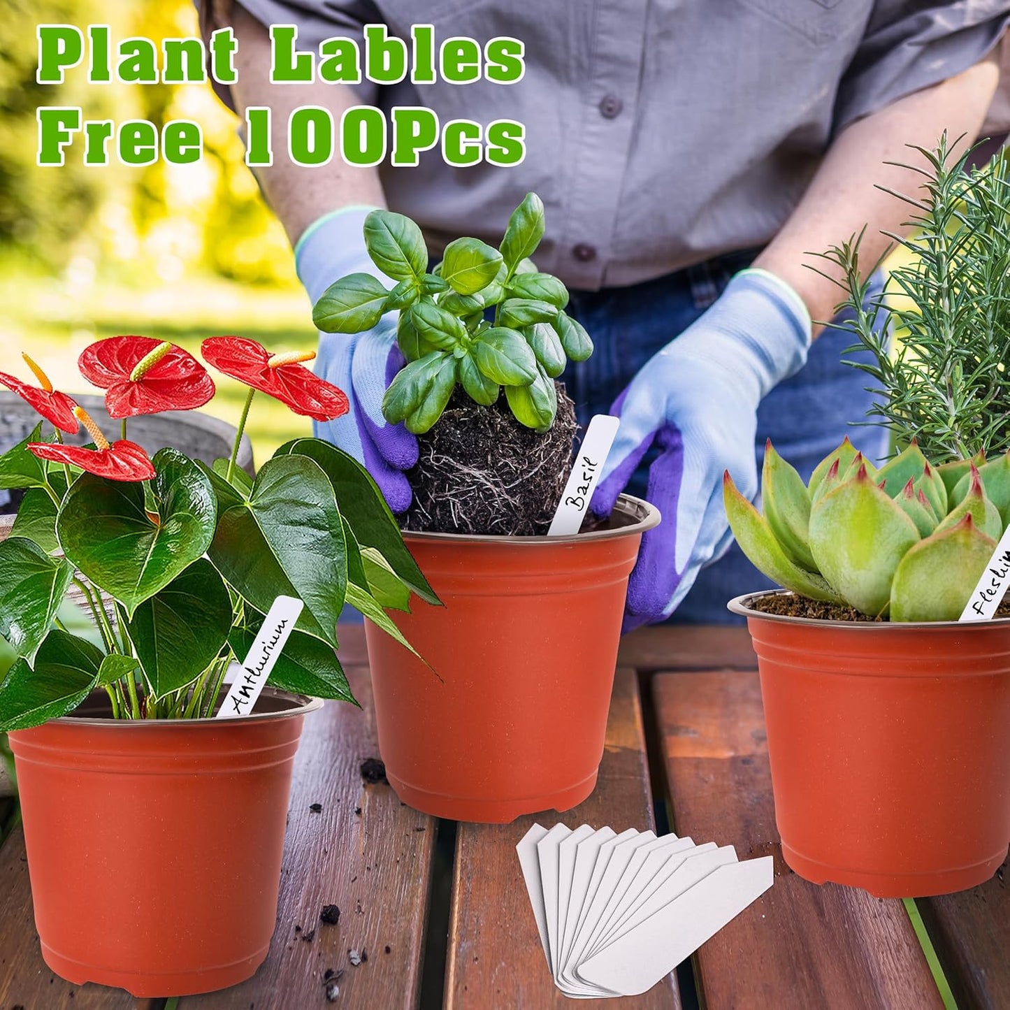 TDHDIKE 6 Inch Plastic Plant Nursery Pots (100pcs Pots and 100pcs Plant Labels) Seedling Flower Plant Container (Red) Seed Starting Pots Indoor/Outdoor