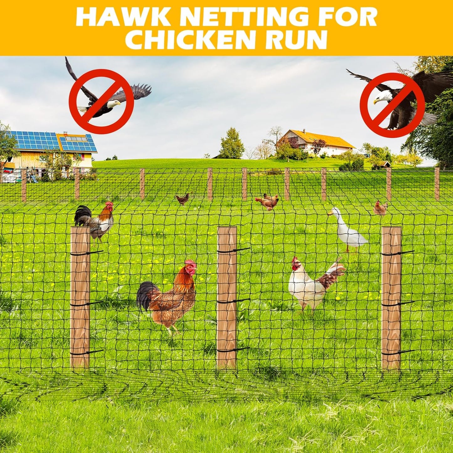 Bird Net 25'x25' with 2.4" Square Mesh Bird Netting for Chicken Coop Roof, Poultry Netting Heavy Duty Nylon for Garden, Chicken Netting Fruit Tree Netting, Hawk Netting for Chicken Run