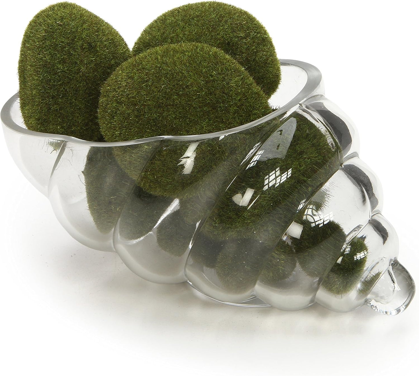 Hosley Glass Shell Vase 8 Inches Long Ideal Gift for Weddings Spa Aromatherapy Floral Arrangements Bowl for Orbs DIY Craft Projects LED Votive Candle Gardens O9