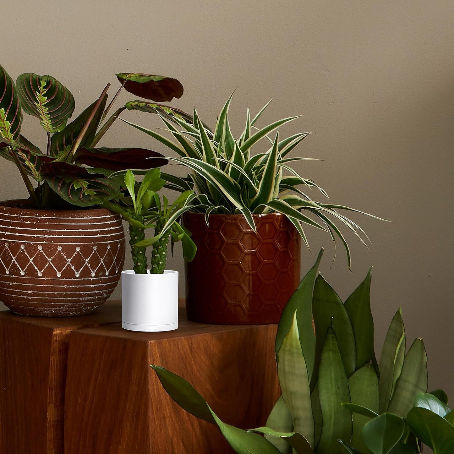 D'vine Dev 2 Pack 4.5 Inch Modern Plastic Plant Pots, Small Garden Planters for Plant with Drainage Holes and Saucers, White Color, 74-Z-F-1