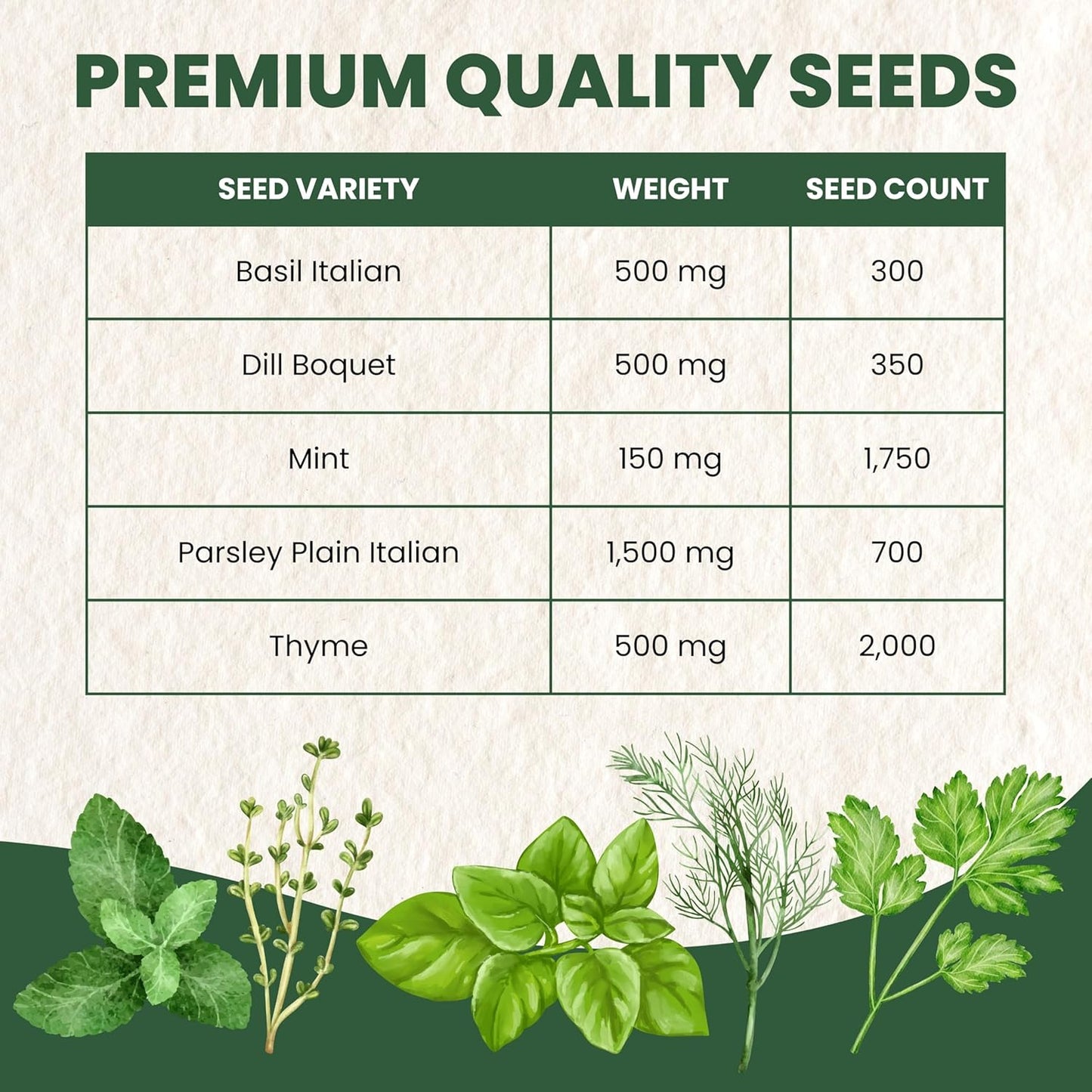 Herb Seeds | 5 Invidiual Packs | 2025 Season | Non-GMO | Basil, Dill, Mint, Parsley & Thyme! | for Planting Indoor & Outdoor | by Family Sown