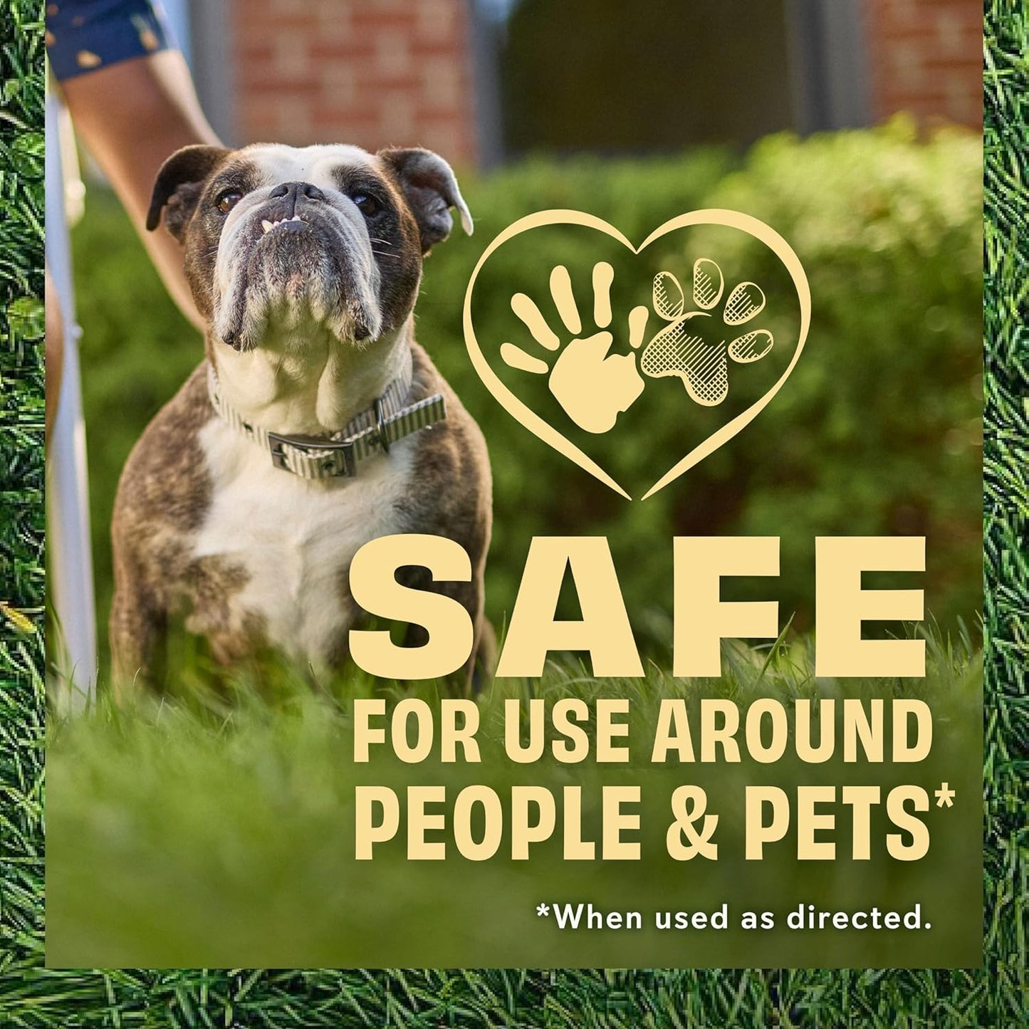 O.M. Scott and Sons Tall Fescue Blend Grass Seed, Fertilizer and Soil Improver, Naturally Crowds Out Weeds, Covers Up to 2,000 sq. ft., 8 lbs., 2-Pack