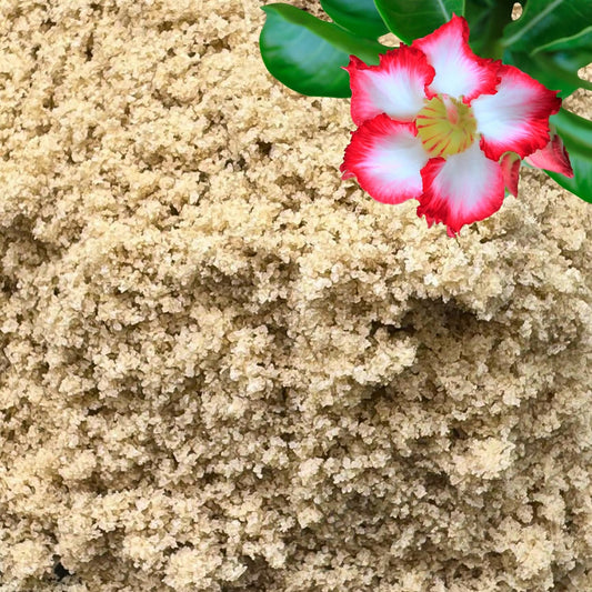 Fine Sand for Plants – Horticultural Sand for Succulents, Cactus, Potting Mixes, Terrariums & Decorative Indoor Gardens, Made in USA (3 quarts - 8.4 lbs)