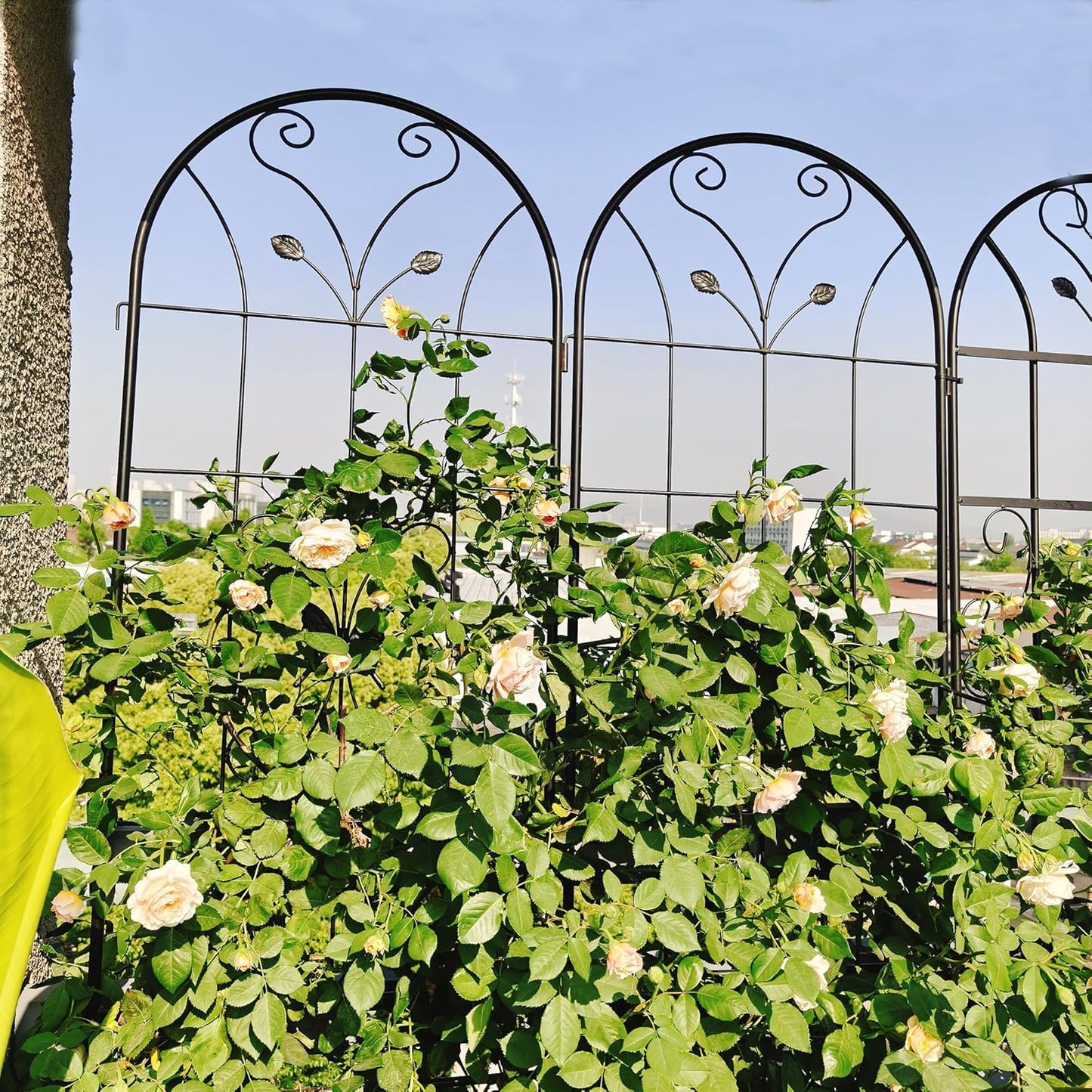 Garden Trellises, 4 Pack Black Metal Coated Rustproof Trellis for Climbing Plants Outdoor, Roses, Vines, Flowers, and Vegetables-19.7×86.7 inches