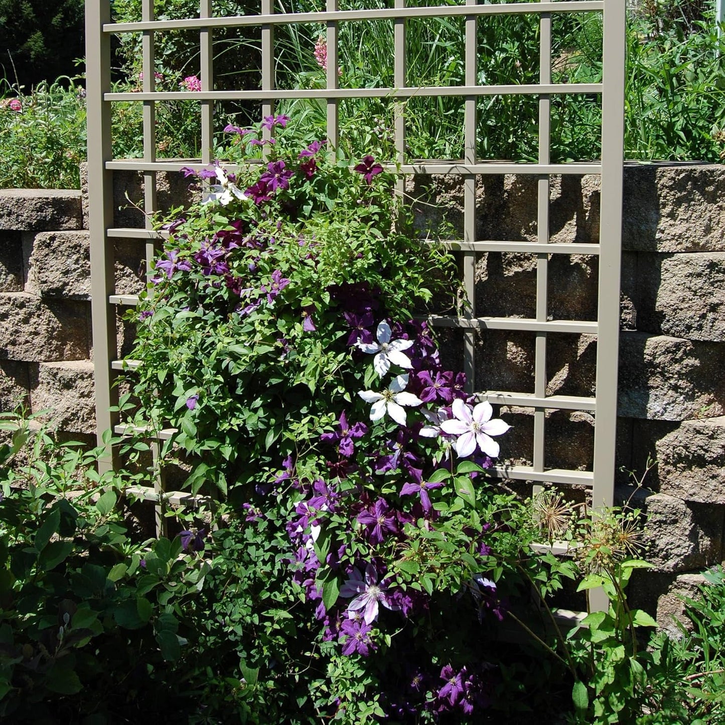 Dura-Trel Winchester 57 x 95 Inch PVC Vinyl Outdoor Garden Patio Trellis, with Wall Mounting Screws, Mocha