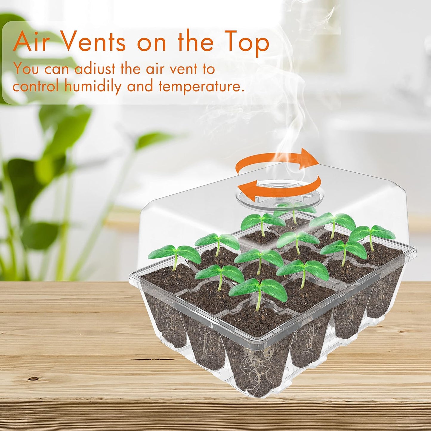 Gardzen 10 Pack Seed Starting Tray, Plant Germination Trays, Seed Starter Kit with Adjustable Humidity Vented Dome and Clear Base, Plant Growing Kit 6.6" x 4.5", Total 120-Cell, Clear