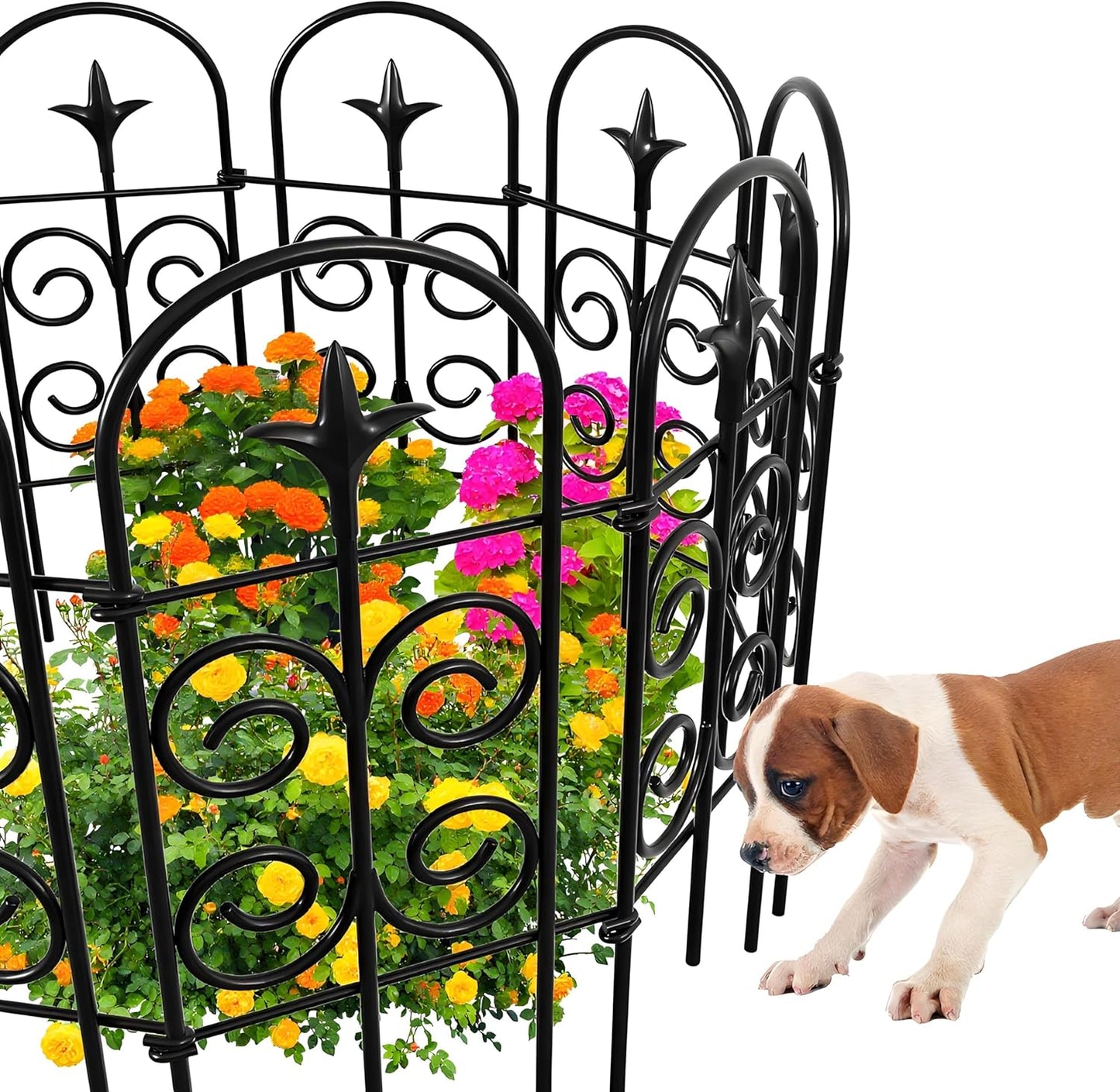 AMAGABELI GARDEN & HOME 8 Panels 32in(H)×10ft(L) Decorative Garden Fences and Borders for Dogs Pre-Linking Panels No Dig Garden Edging Border Fence for Animal Barrier Fencing for Flower Bed Yard Patio