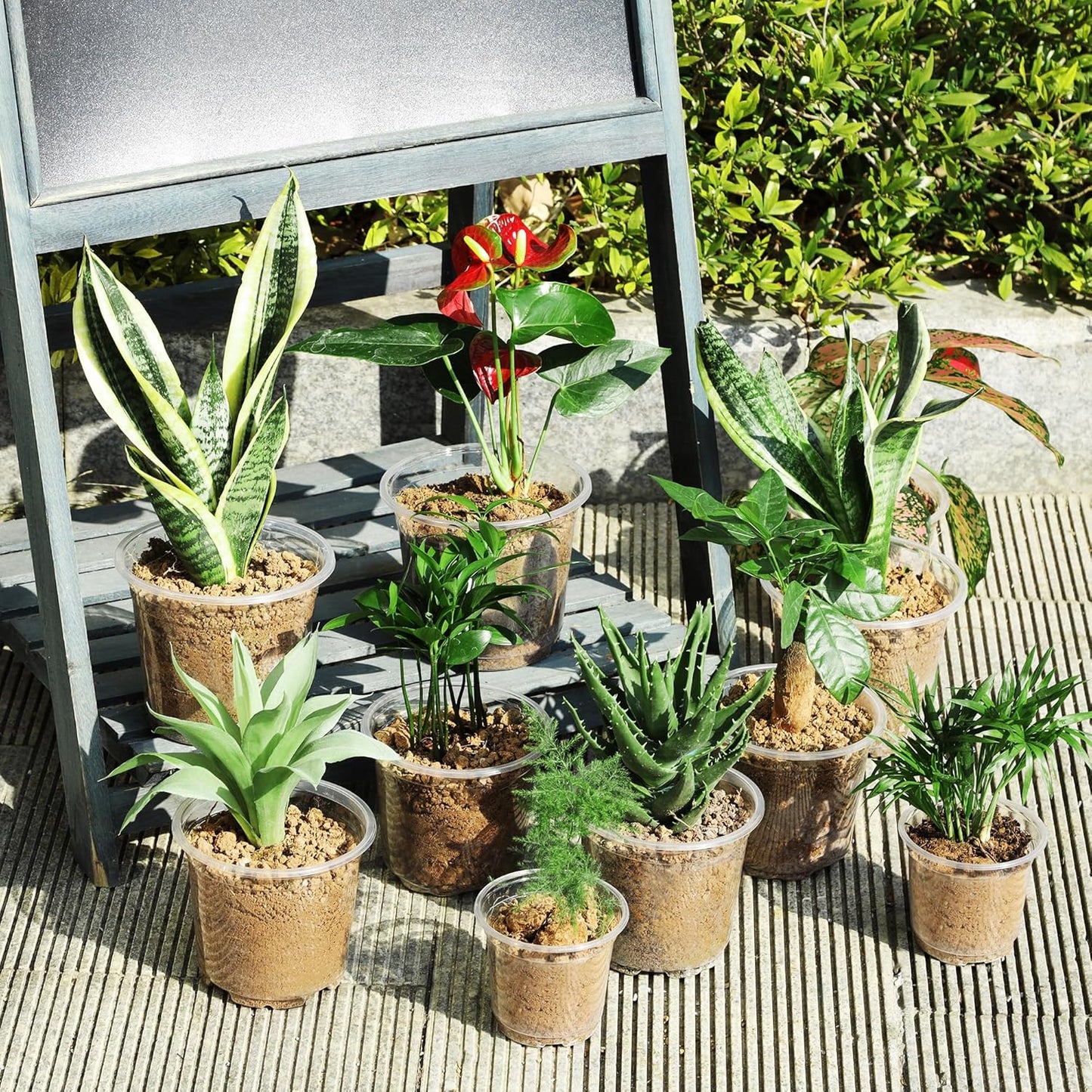 60 Pack 3.5/4/5 Inch Reinforced Clear Nursery Pots with Drainage Holes, Transparent Variety Pack Plastic Plant Pot Seed Starter Pots Flower Pots Come with 50pcs Plant Labels