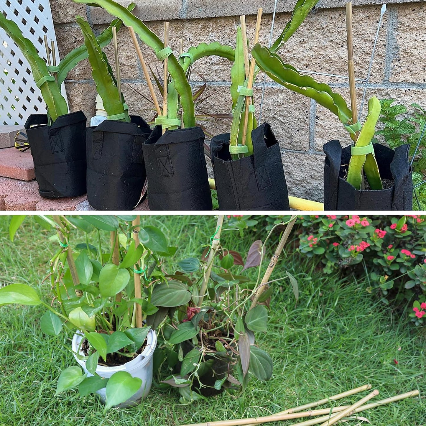 50Pcs / 4ft Bamboo Plant Stakes for Indoor Outdoor Plants, Garden Plant Support Sticks, Poles for Tomato Vegetables Beans Trees Potted Climbing Plants(0.32''-0.4'')