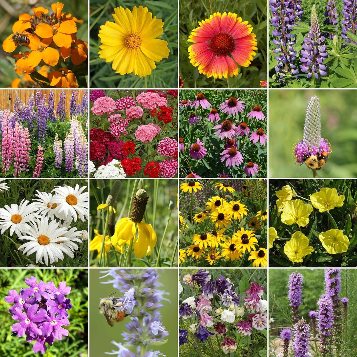 Ferry-Morse Perennial Mix Bulk Wildflower Seeds, 1lb