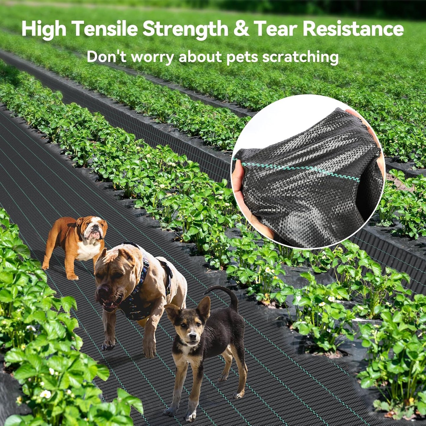 3ftx100ft Weed Barrier Landscape 3.2oz Fabric Heavy Duty, Woven Weed Control Cloth, Woven Geotextile Fabric for Underlayment, Gardening Ground, Commercial Driveway Weed Block Cover Mat