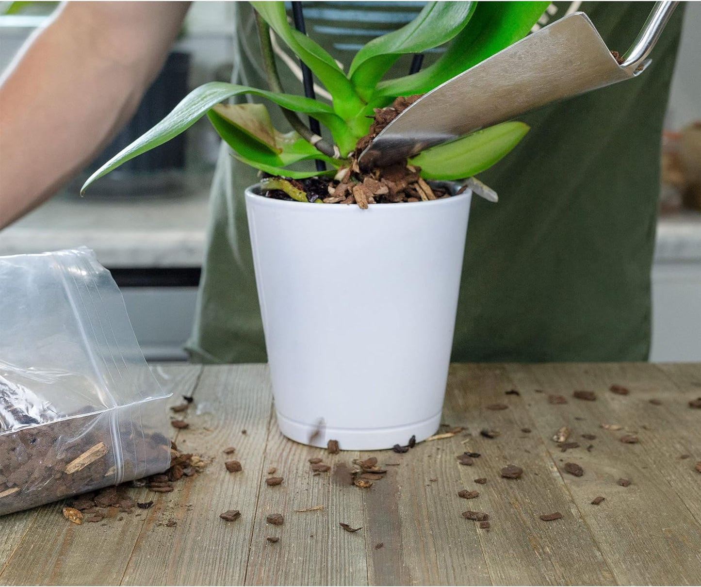 Houseplant Mulch (2 Quarts), Small Bark Wood Chips for Indoor, Patio, Potting Media, and Much More!